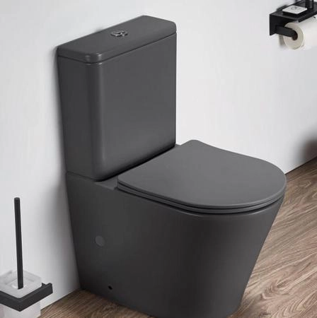 Унитаз Ceramalux 2179XMDH напольный безбодковый с бачком ( GEBERIT ) сиденье микролифт серый матовый, 618x380x825