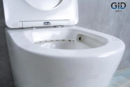 Унитаз Gid TRS-263 53 см приставной безободковый микролифт белый