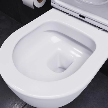 Унитаз подвесной безободковый Damixa Sirius DX86C1700SC с сиденьем микролифт белый