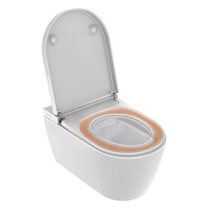 Duravit Starck F Plus Унитаз подвесной, безободковый, с сиденьем Sensowash, с покрытием Hygieneglaze, цвет: белый