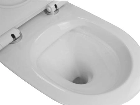 Унитаз подвесной  Azario Felice 490х360х360 быстросъемное сиденье микролифт (AZ-0051