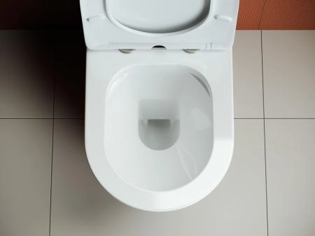 Напольный пристенный унитаз Highlight Rimless