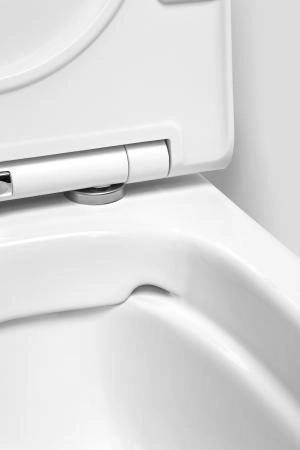 Унитаз Am.Pm Spirit C701700WH подвесной FlashClean