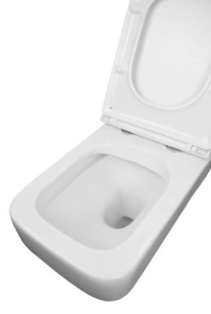 Унитаз подвесной Azario MONEO 530х365х370 безободковый,  с быстросъемным сидением микролифт (AZ-0062)