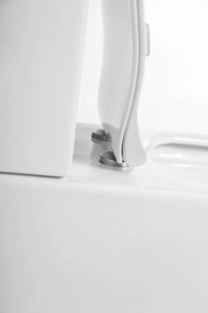 Сиденье для унитаза BELBAGNO PROSPERO BB2020SC быстросъемное, дюропласт, soft close, металическое крепление