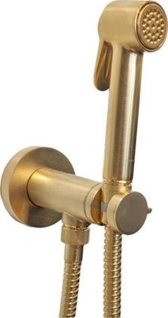 Гигиенический душ Bossini Paloma Brass E37005B.043 со смесителем, сатинированное золото
