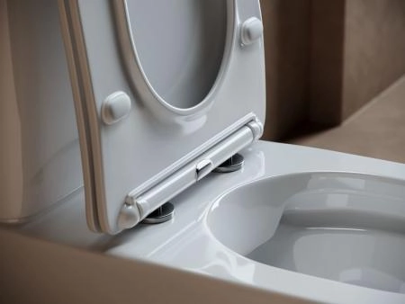 Напольный  унитаз с бачком Fortuna Rimless