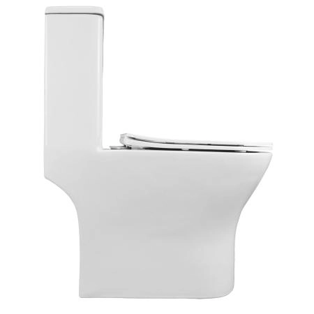Унитаз моноблок AZARIO Terni 670x350x760 , быстросъемное сиденье микролифт (AZ-8618)
