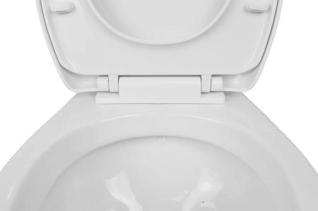 Унитаз подвесной Azario STELLA 370х400х550 безободковый, с быстросъемным сидением микролифт, белый (AZ-VT005+AZ-VT005sc)