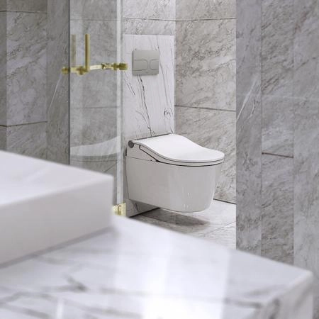 TOTO Washlet RW Комплект: унитаз подвесной, сиденье с управлением, модуль для установки, клавиша, цвет: белый