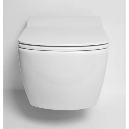 Унитаз CREAVIT ELEGANT подвесной безободковый с биде EG321-00CB00E-0000 (сиденье отдельно)