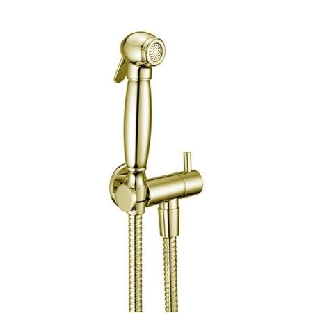 Cisal Shower Гигиенический душ, со шлангом 120см ,вывод с держателем и запорный вентиль, цвет: Oro