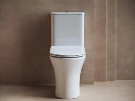 Напольный  унитаз с бачком Fortuna Rimless