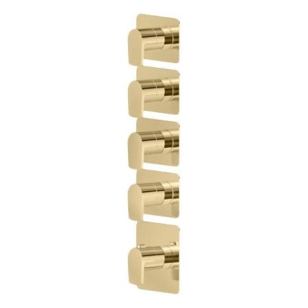 Newform Haka Смеситель для душа, термостатический, на 4 потока, цвет: PVD brushed gold