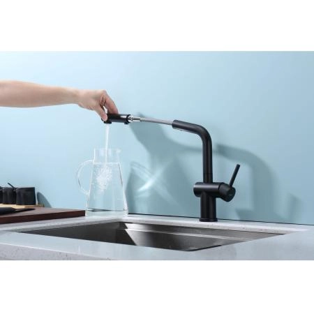 Смеситель RAGLO R86.49.06, с выдвижным изливом, черный