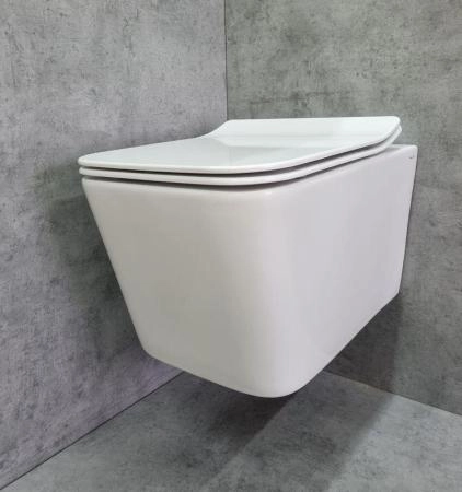 Унитаз Ceramalux 5170MW подвесной безободковый сиденье микролифт белый матовый 520x350x345