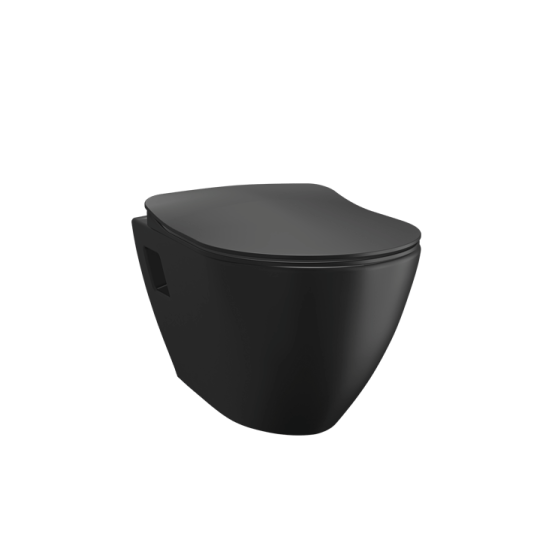 Унитаз подвесной CREAVIT TERRA TP325-11 черный матовый