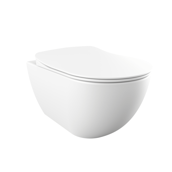 Унитаз подвесной CREAVIT FREE FE320 с биде белый матовый