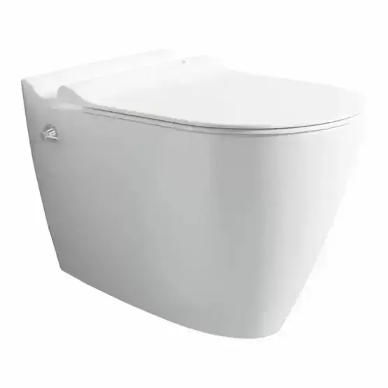 Унитаз Bien MINERAL подвесной безободковый с форсункой биде со встроенным смесителем сиденье микролифт MNKA052N1VE0W5000