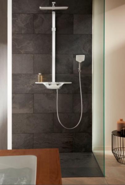 Душевая лейка 1S Kludi Freshline 6450005-00 13.5x24.5 см, хром/белый