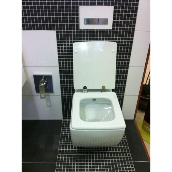 Унитаз CREAVIT Trend подвесной с биде TP324-00CB00E-0000 (сиденье отдельно)