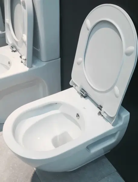 Унитаз Bien HARMONY подвесной безободковый с функцией биде сиденье микролифт HRKA052N2VP1W5000