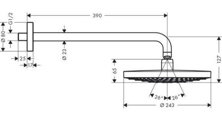 Hansgrohe Raindance Select 26466400 верхний душ цвет белый-хром