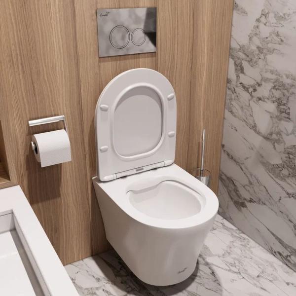 Унитаз Cerutti SPA ADIGE Aria MW подвесной безободковый белый матовый CT9245 (490х360х355)