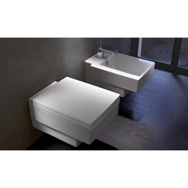 Сиденье Jacob Delafon TERRACE E70019-00 с микролифтом