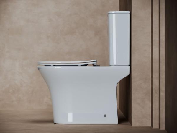 Унитаз Ceramicanova Fortuna CN9001 безободковый напольный микролифт