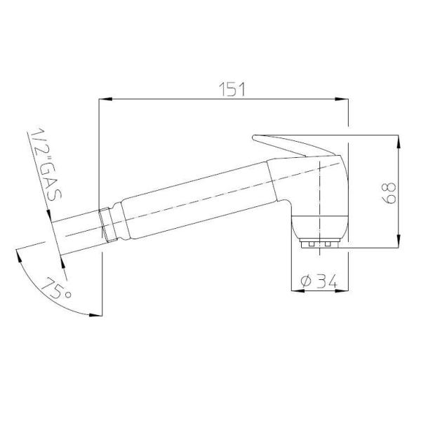 Лейка Bossini Gaia гигиеническая B00661.030 хром